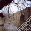 Sad Lovers & Giants - The Mirror Test Redux cd