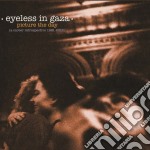 Eyeless In Gaza - Picture The Day: A Career Retrospective (2 Cd)