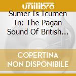 Sumer Is Icumen In: The Pagan Sound Of British & Irish Folk 1966-1975 / Various (3 Cd) cd musicale