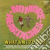 No More Heartaches - What Am I To Do? cd