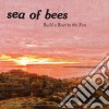 Sea Of Bees - Build A Boat To The Sun cd