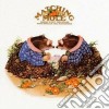 Matching Mole - Matching Mole (2 Cd) cd
