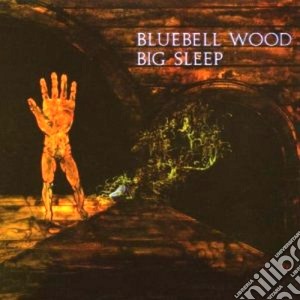 Big Sleep - Bluebell Wood cd musicale di Sleep Big