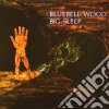 Big Sleep - Bluebell Wood cd