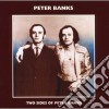 Peter Banks - Two Sides Of Peter Banks cd