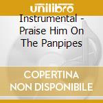 Instrumental - Praise Him On The Panpipes cd