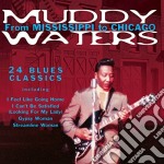 Muddy Waters - From Mississippi To Chicago