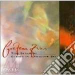 Tarnation - Mirador cd