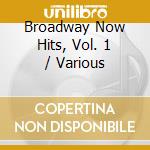 Broadway Now Hits, Vol. 1 / Various cd