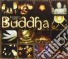 Beginners Guide To Buddha / Various (3 Cd) cd