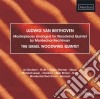 Ludwig Van Beethoven - Masterpieces Arranged For Woodwind Quintet Vol.3 cd