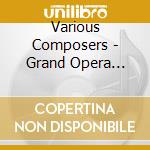 Various Composers - Grand Opera Record Collection cd