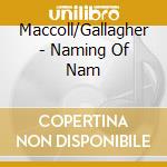 Maccoll/Gallagher - Naming Of Nam cd musicale di Maccoll/Gallagher