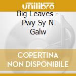 Big Leaves - Pwy Sy N Galw cd
