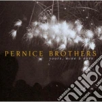 Pernice Brothers - Yours, Mine & Ours cd