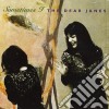 Dear Janes (The) - Sometimes I cd musicale di Dear Janes