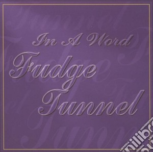 Fudge Tunnel - In A Word cd musicale di Fudge Tunnel