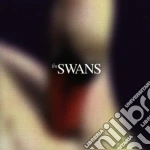 Swans - Photographs & Letters cd