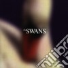 Swans - Photographs & Letters cd