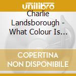 Charlie Landsborough - What Colour Is The Wind cd