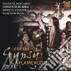 Legends Of Gypsy Flamenco Ii cd