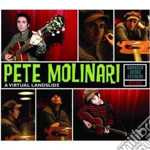 Pete Molinari - Virtual Landslide cd musicale di Pete Molinari