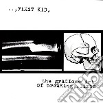 Fixit Kid - The Gracious Art Of Brea