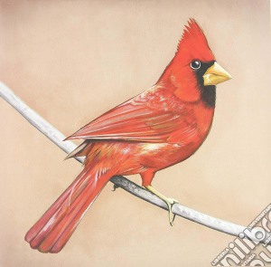Alexisonfire - Old Crows / Young Cardinals cd musicale di Alexisonfire
