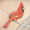 Alexisonfire - Old Crows / Young Cardinals cd