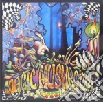 Magic Mushroom Band - Re-hash cd
