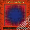 David Jackson - Fractal Bridge cd