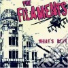 Filaments - Whats Next cd