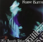 Rome Burns - Non Specific Ghost Stories cd