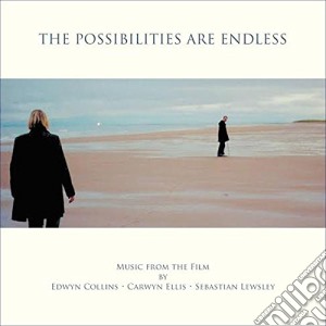 (LP Vinile) Edwyn Collins / Carwyn Ellis / Sebastian Lewsley - The Possibilities AreEndless lp vinile di Collins/ellis/lewsle