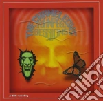 Chameleons - John Peel Sessions cd