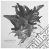 Adrian Crowley - Dark Eyed Messenger cd