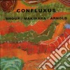Wally Shoup / Toshi Makihara / Brent Arnold - Confluxus cd