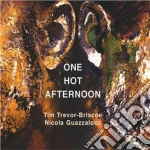 Tim Trevor-briscoe/n.guazzaloca - One Hot Afternoon cd