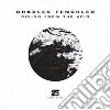 Charles Fenckler - Diving From The Void cd