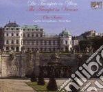 Tromba A Vienna- Matt Nicol Dir / Sauter / Wagnermeyer (2 Cd)