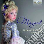Wolfgang Amadeus Mozart - Canoni Profani - Gehn Wir Mir In Prater cd