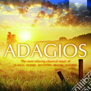 Rudolf Barshai - Adagios (2 Cd) cd musicale di Adagios