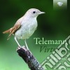 Georg Philipp Telemann - Virtuoso cd