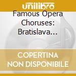 Famous Opera Choruses: Bratislava Symphony Choir & Orch cd