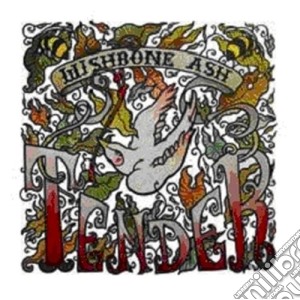 Wishbone Ash - Tender cd musicale di Ash Wishbone