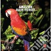 Amazon rain forest - relax with cd
