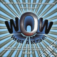 Wow (What A Rush) Vol. 11 (Mixed By Dj Darwin) cd