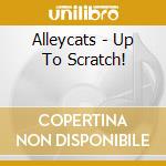 Alleycats - Up To Scratch!