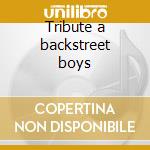 Tribute a backstreet boys cd