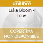 Luka Bloom - Tribe cd musicale di Luka Bloom